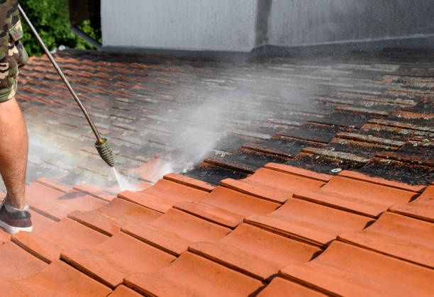 Best Commercial Pressure Washing  in Camden, SC