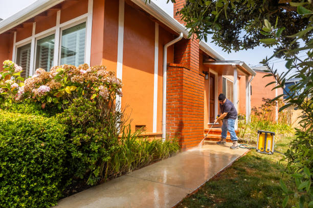Best House Pressure Washing  in Camden, SC