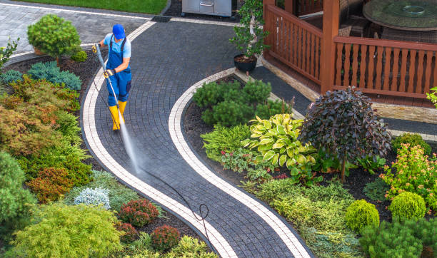 Best Best Pressure Washing Companies  in Camden, SC
