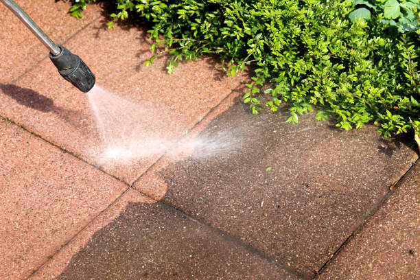 Best Exterior Home Cleaning  in Camden, SC